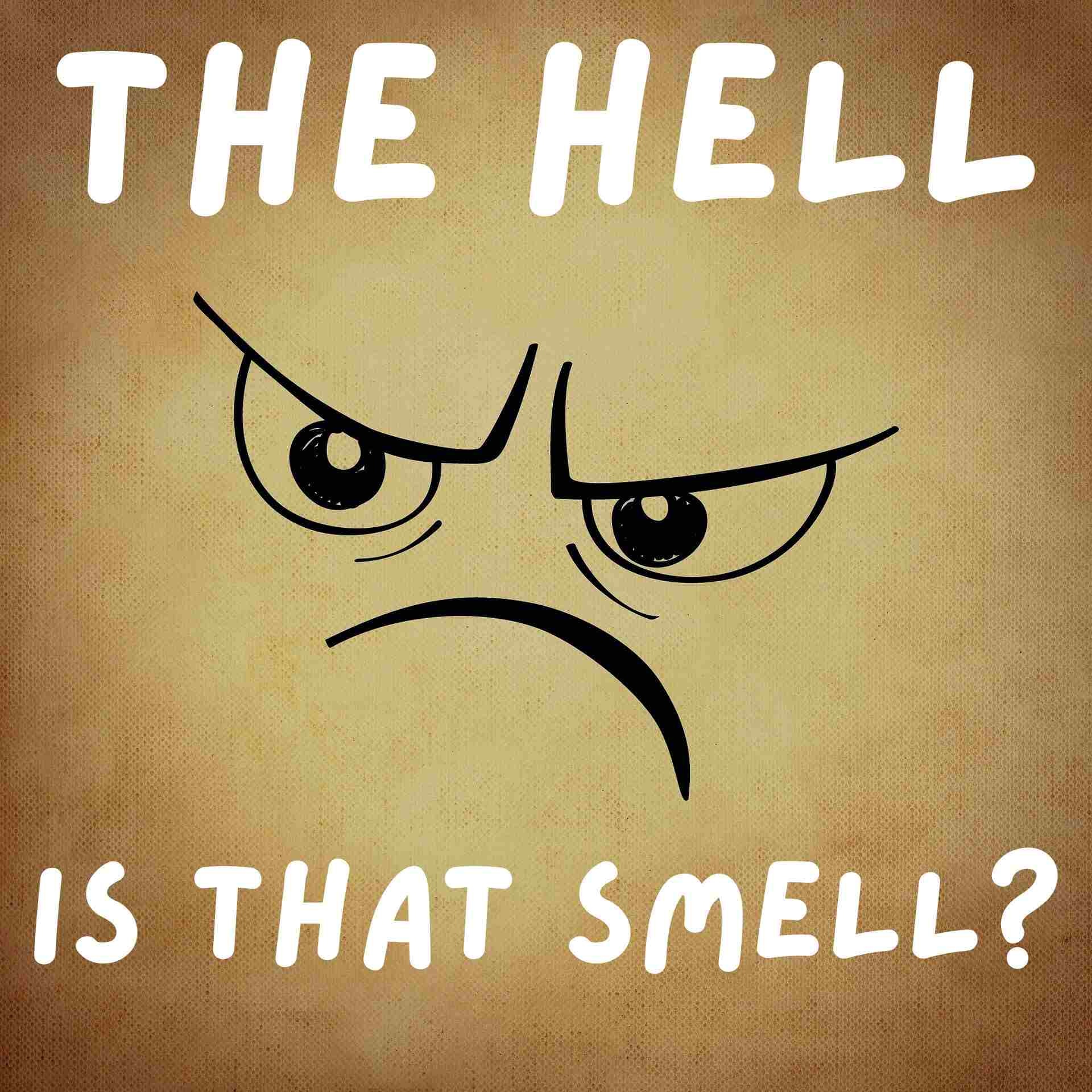 Daren Dietmeier, Jeremy Cheezum, Kevin Hale Christ Church Conway, Presbyterian Church in America, Trinity Aledo, Montrose High School, Olathe High School, Peak Academy, Tiffany Bredfeldt